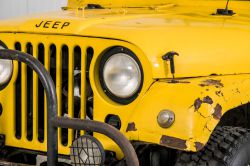 Willys Overland  thumbnail 18
