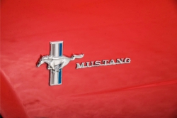 Ford Mustang 289 V8 automatic thumbnail 28