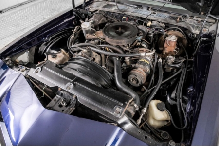 Chevrolet Camaro V8 automatic thumbnail 44
