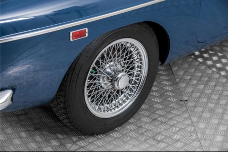 MG C GT MGCGT MGC GT . thumbnail 26