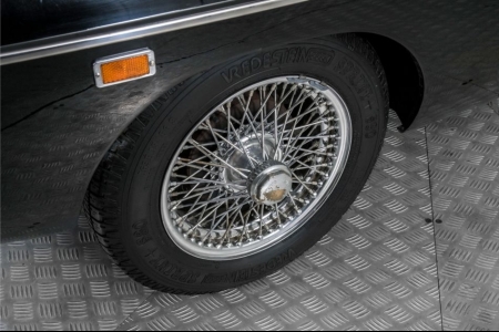 MG C GT MGC GT   MGCGT . thumbnail 34
