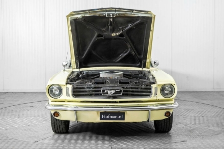 Ford Mustang V8 289 cabrio thumbnail 39