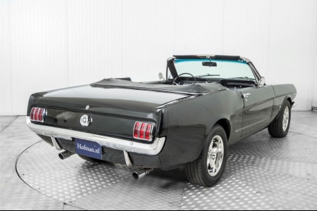 Ford Mustang  thumbnail 24