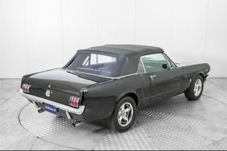 Ford Mustang  thumbnail 62