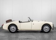 MG A @hofman.nl