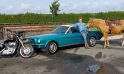 Gea Brouwer  –  Ford Mustang 1966
